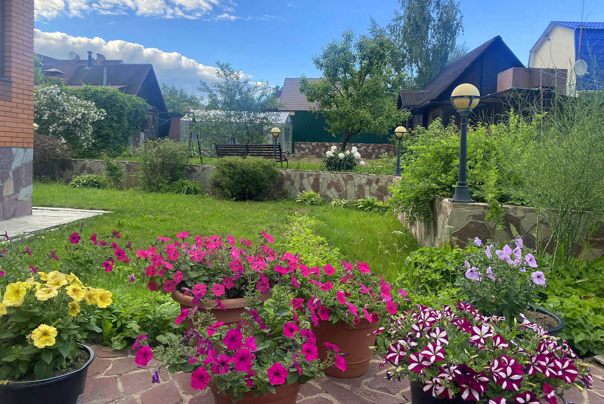 Сбалансированное питание